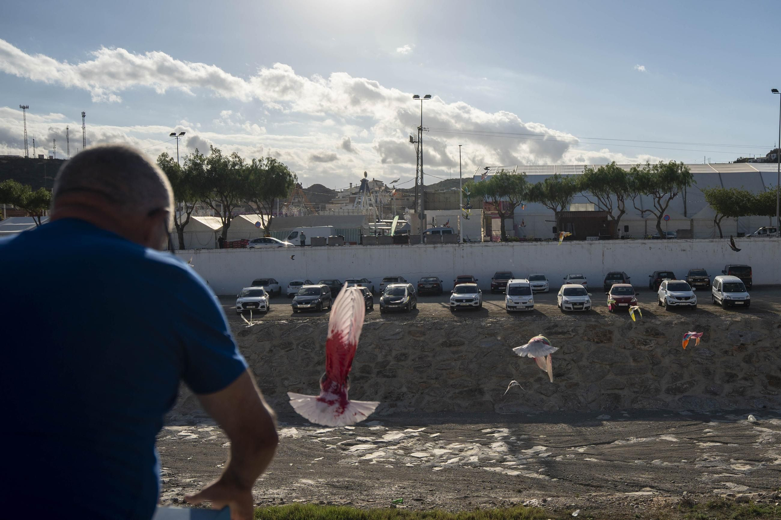 Las mejores imágenes de la suelta de palomos en la Feria de Albox
