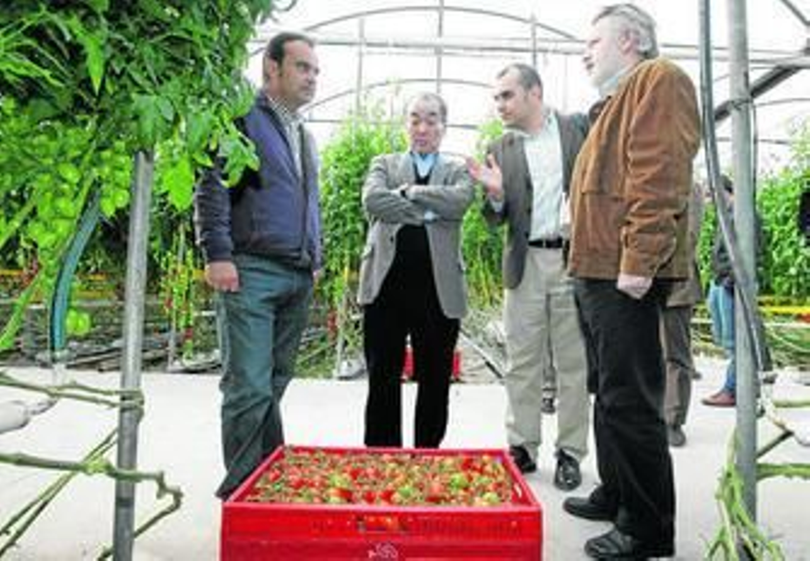 Luis Andújar, primero por la izquierda, mostró hace unas semanas su invernadero a una empresa de Japón.