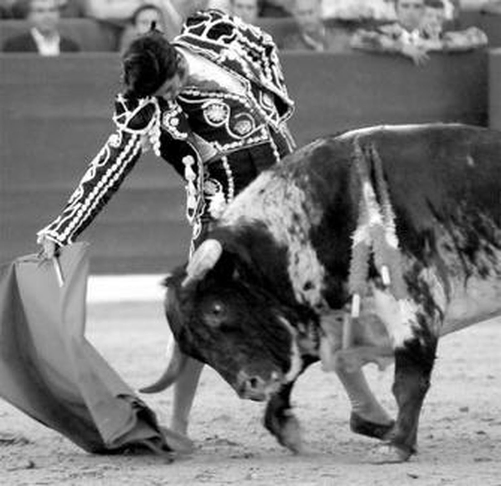 Morante toreando con gusto por el derecho al toro de Albarreal.