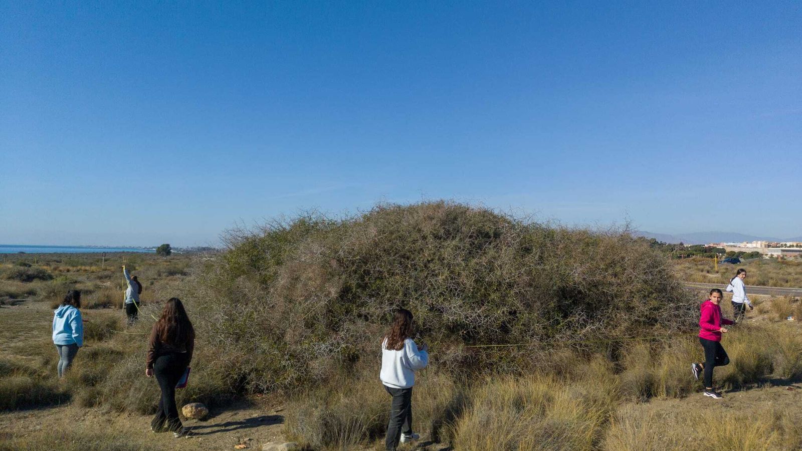 Los participantes recogerán los residuos con la colaboración de la asociación Clean Ocean Project y estudiarán los microplásticos de la playa de El Alquián