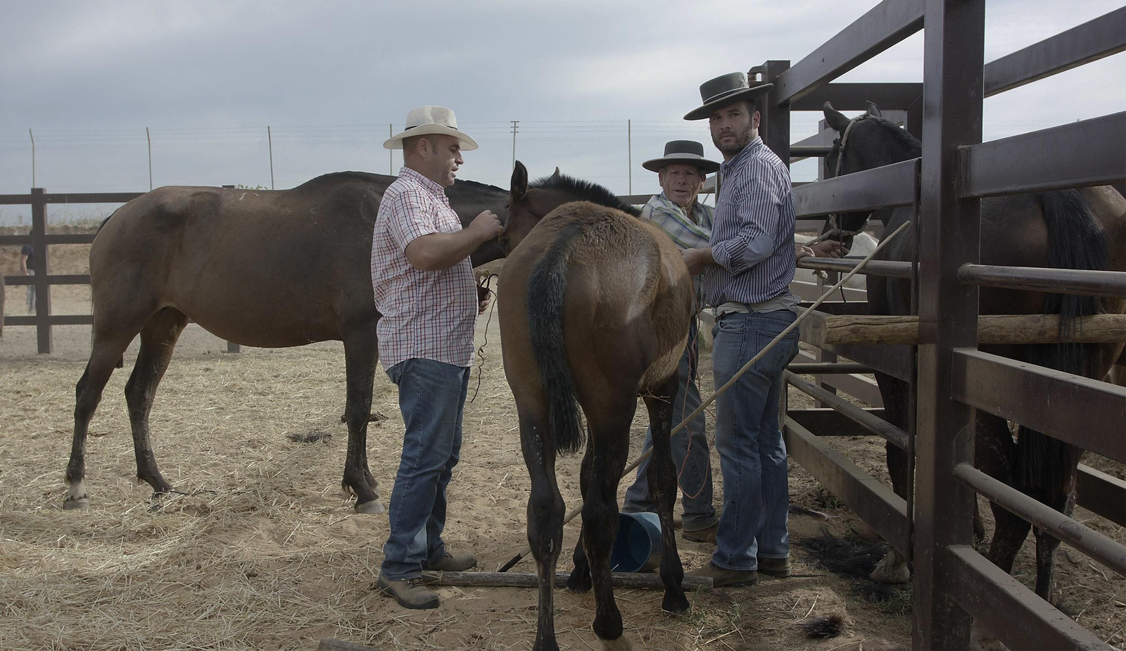 La tradicional y ancestral 'Saca de las  Yeguas', en imágenes