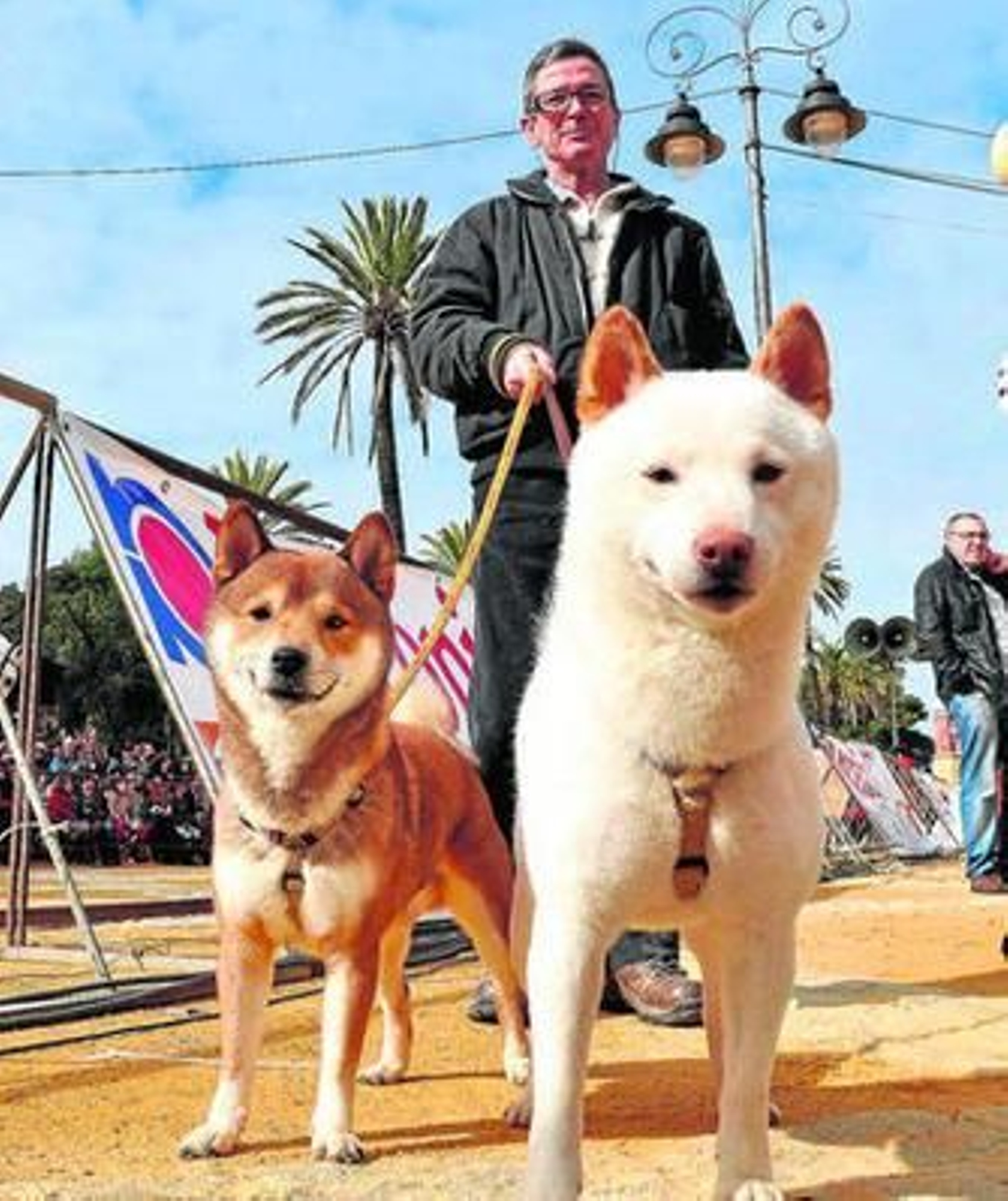 Una niña muestra orgullosa a su pareja de Ninfas, ayer en el González Hontoria. Una niña muestra orgullosa a su pareja de Ninfas, ayer en el González Hontoria.