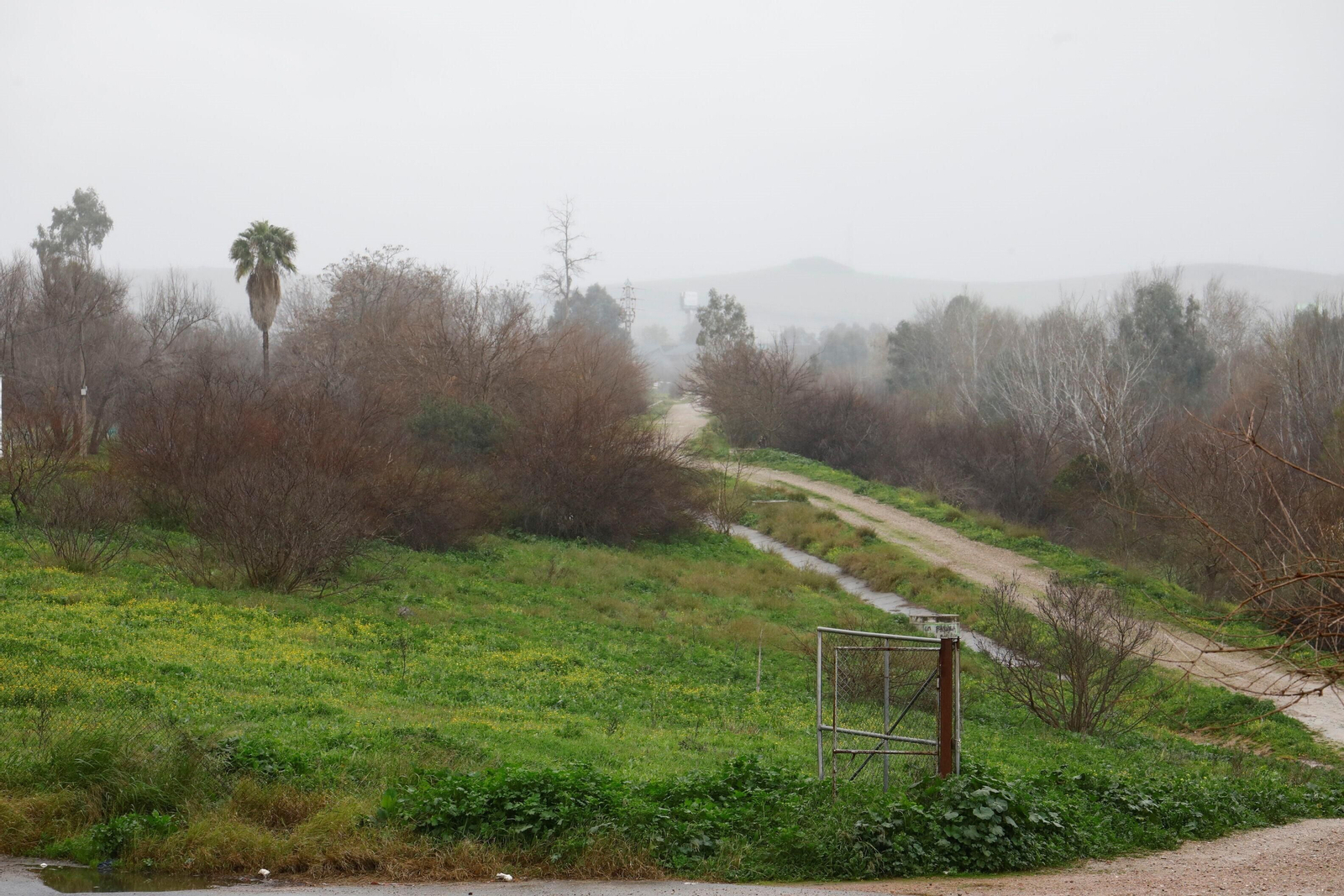 Terrenos en el Cordel de Écija, en Córdoba. Terrenos en el Cordel de Écija, en Córdoba.