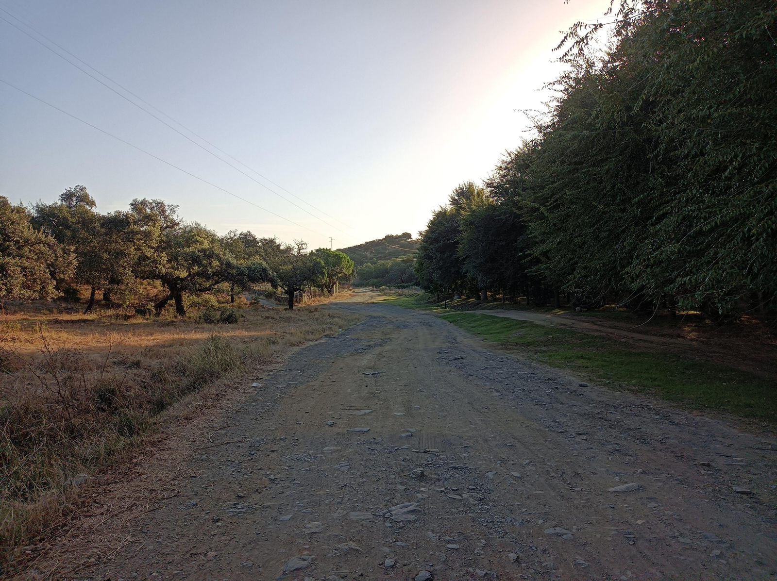 Fotos de la ruta de Los Brezales-Umbría de Santa Fe en el Ronquillo