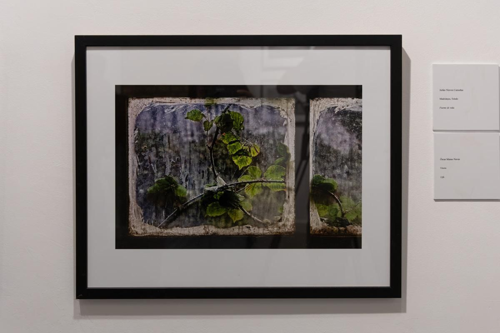 Exposición La Tierra, corazón de la vida, en imágenes