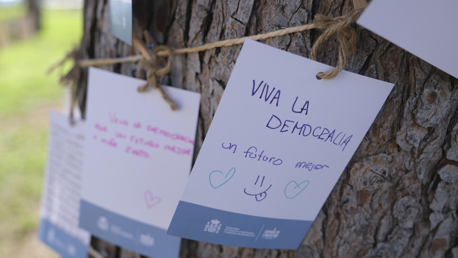 El árbol de la democracia de la Universidad de Almería, en imágenes