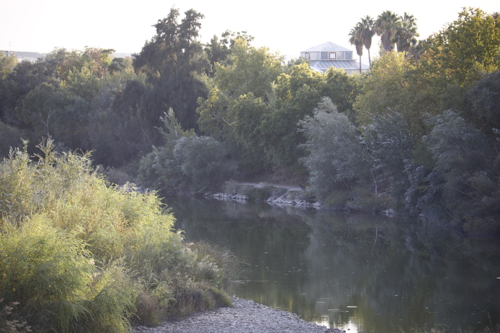 Zona del río Guadalquivir en la que apareció el cadáver.