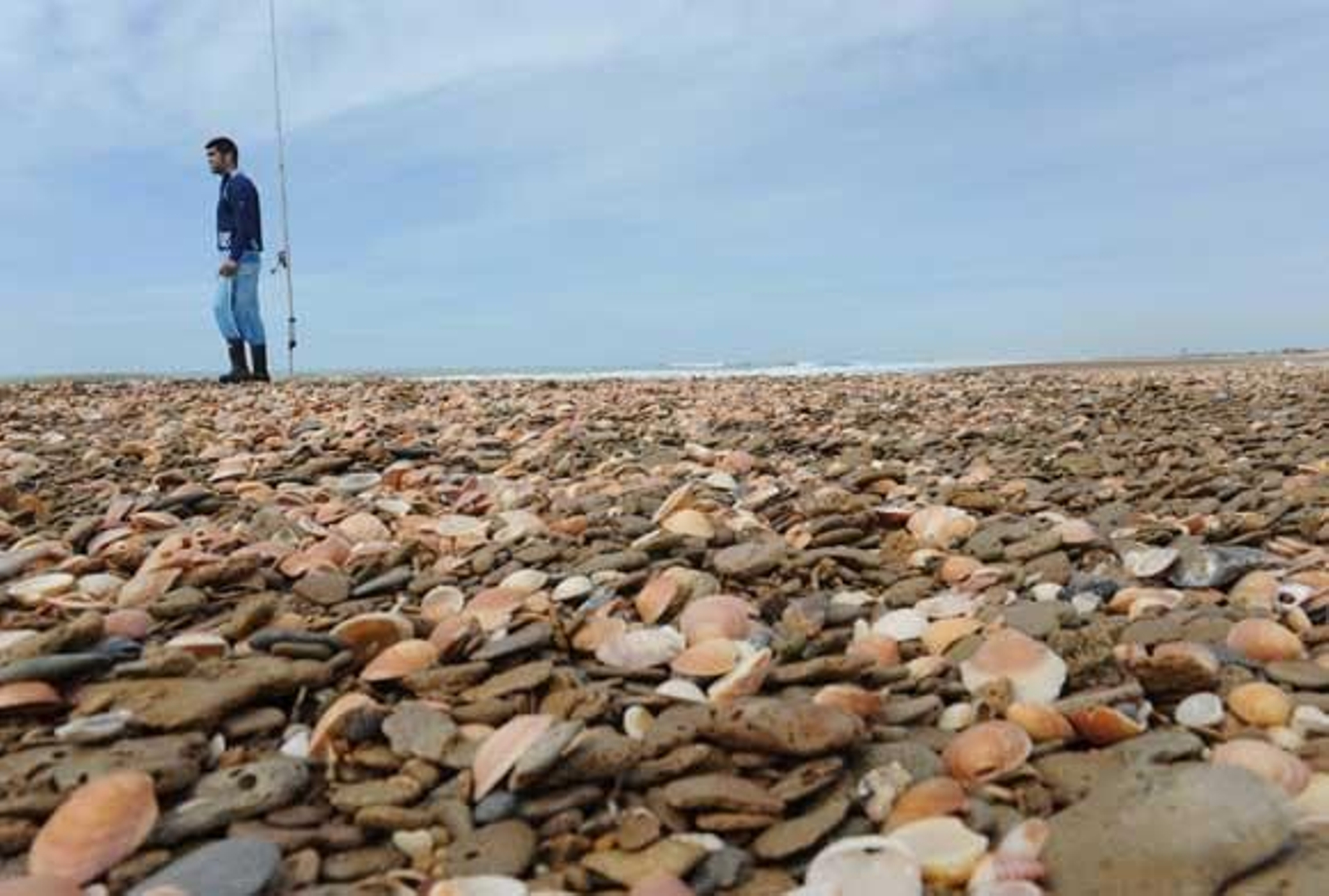 Hasta las franjas de litoral que gozan a lo largo del año de mayor aporte de arena, como ésta de San Fernando,  han quedado sembradas de piedras tras los temporales de los últimos meses.

Foto: Fito Carreto-Paco Periñán-Elias Pimentel