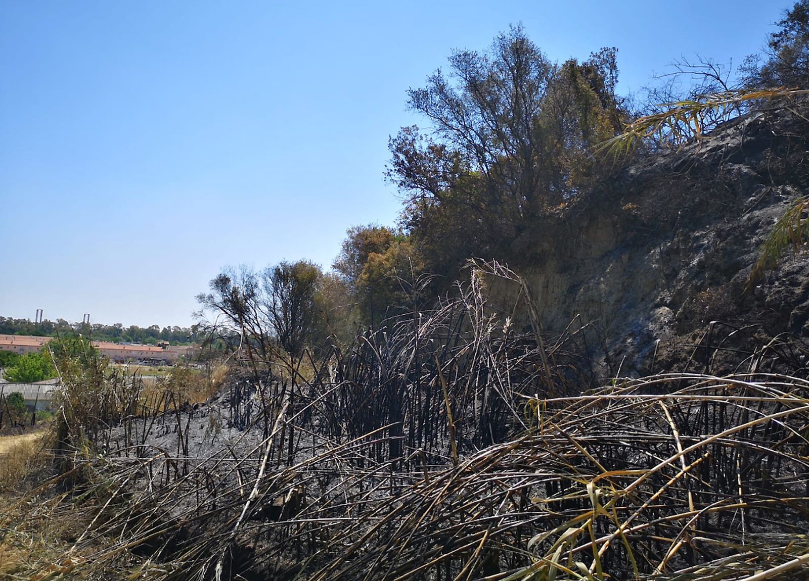 Así ha quedado la cornisa de Gelves tras el incendio