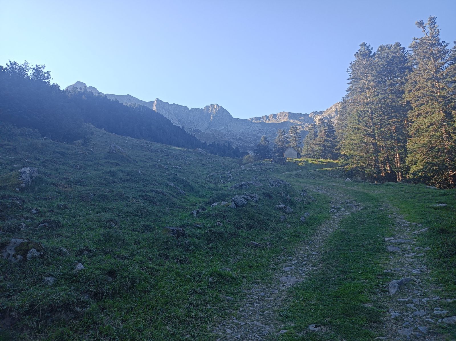 Bonita pradera alpina durante el ascenso.