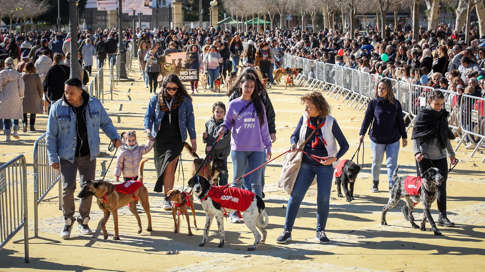 Búscate en San Antón de Jerez