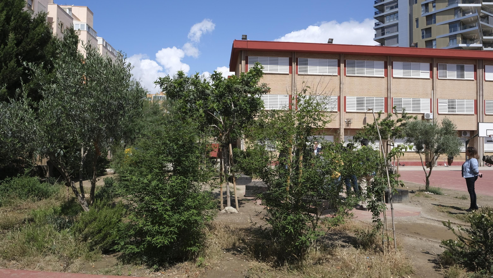 Proyecto Aulas Verdes Abiertas en el Colegio Mar Mediterráneo, de Almería