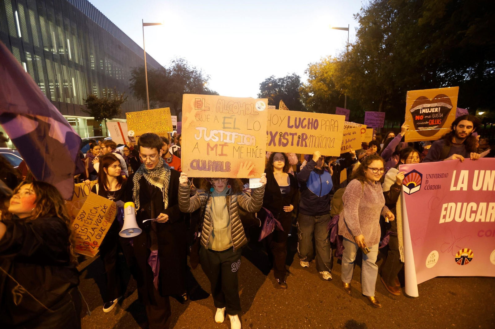 La manifestación del 25N en Córdoba