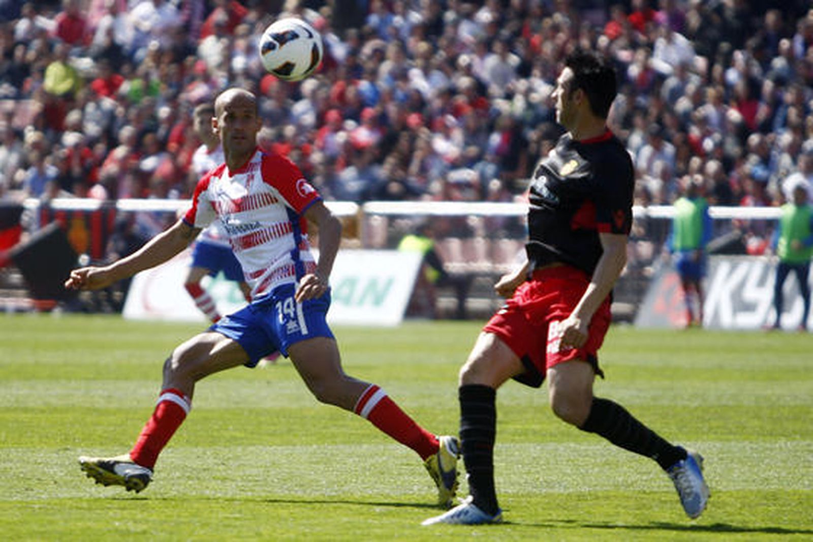 Foto: PEPE VILLOSLADA