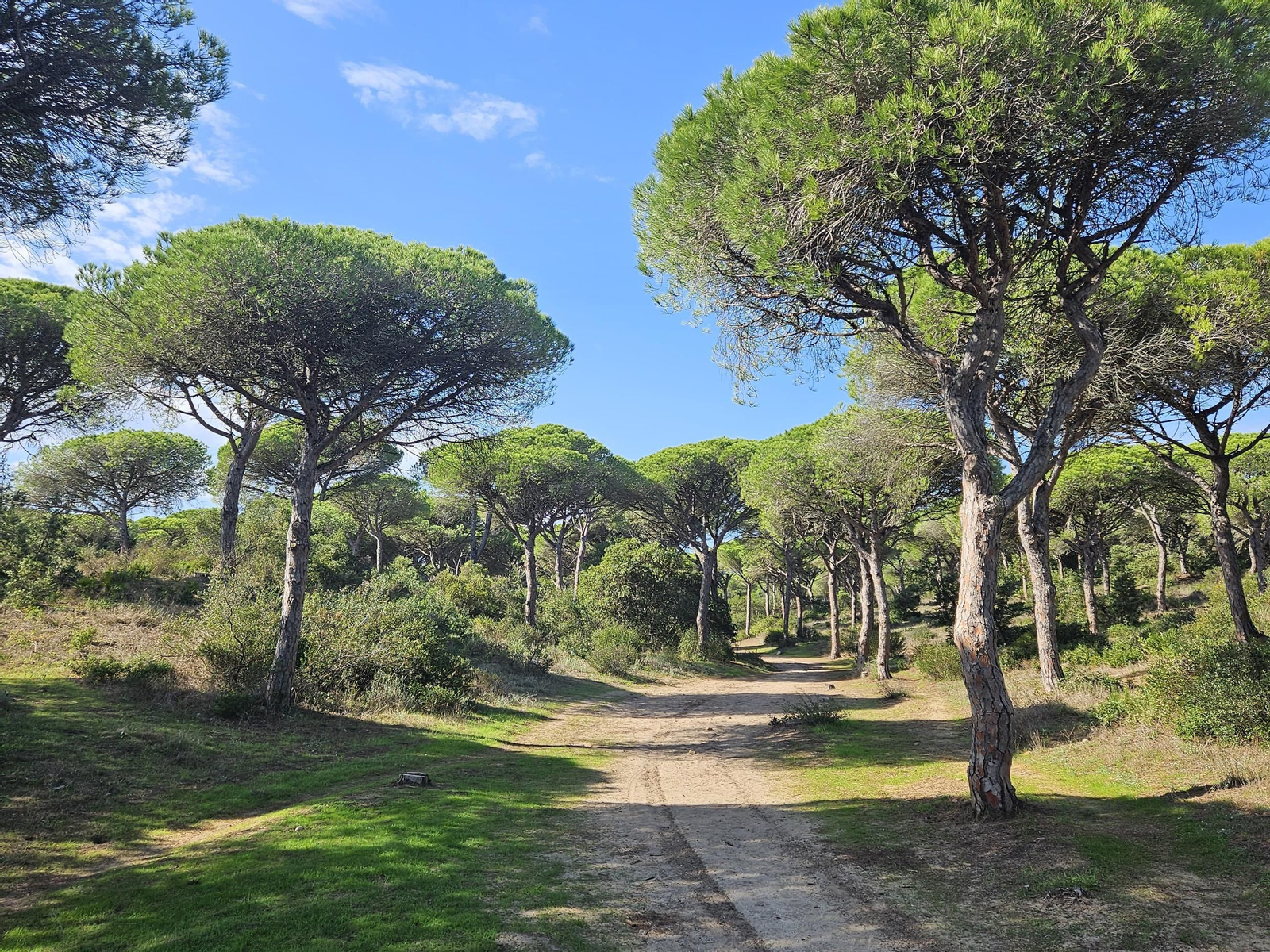 Sendero Torre del Tajo