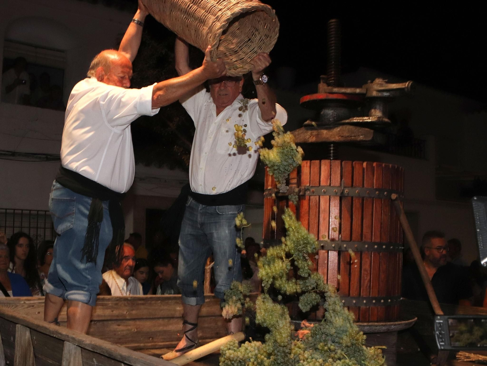 Los momentos más especiales de la Fiesta de la Vendimia de Montilla, en imágenes