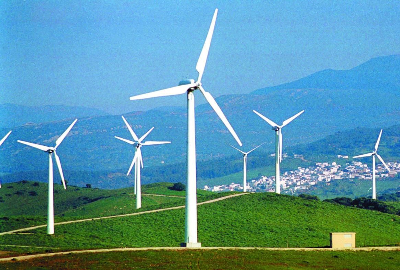 Un parque eólico situado en la comarca de la Janda.