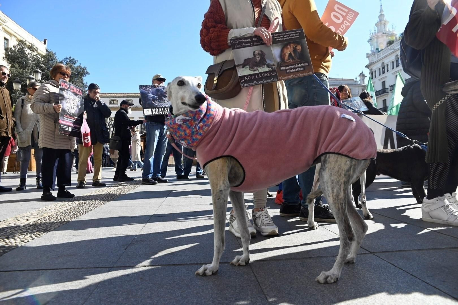 La manifestación para acabar con la caza con perros en Córdoba, en imágenes