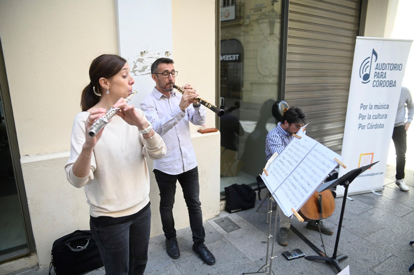 El concierto de la Plataforma Ciudadana Auditorio para Córdoba