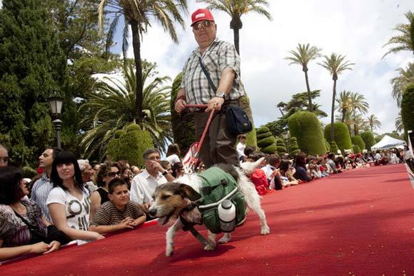 Más de 500 perros participaron en el evento, que contó con una exhibición de las Fuerzas del Orden   Foto: Lourdes de Vicente