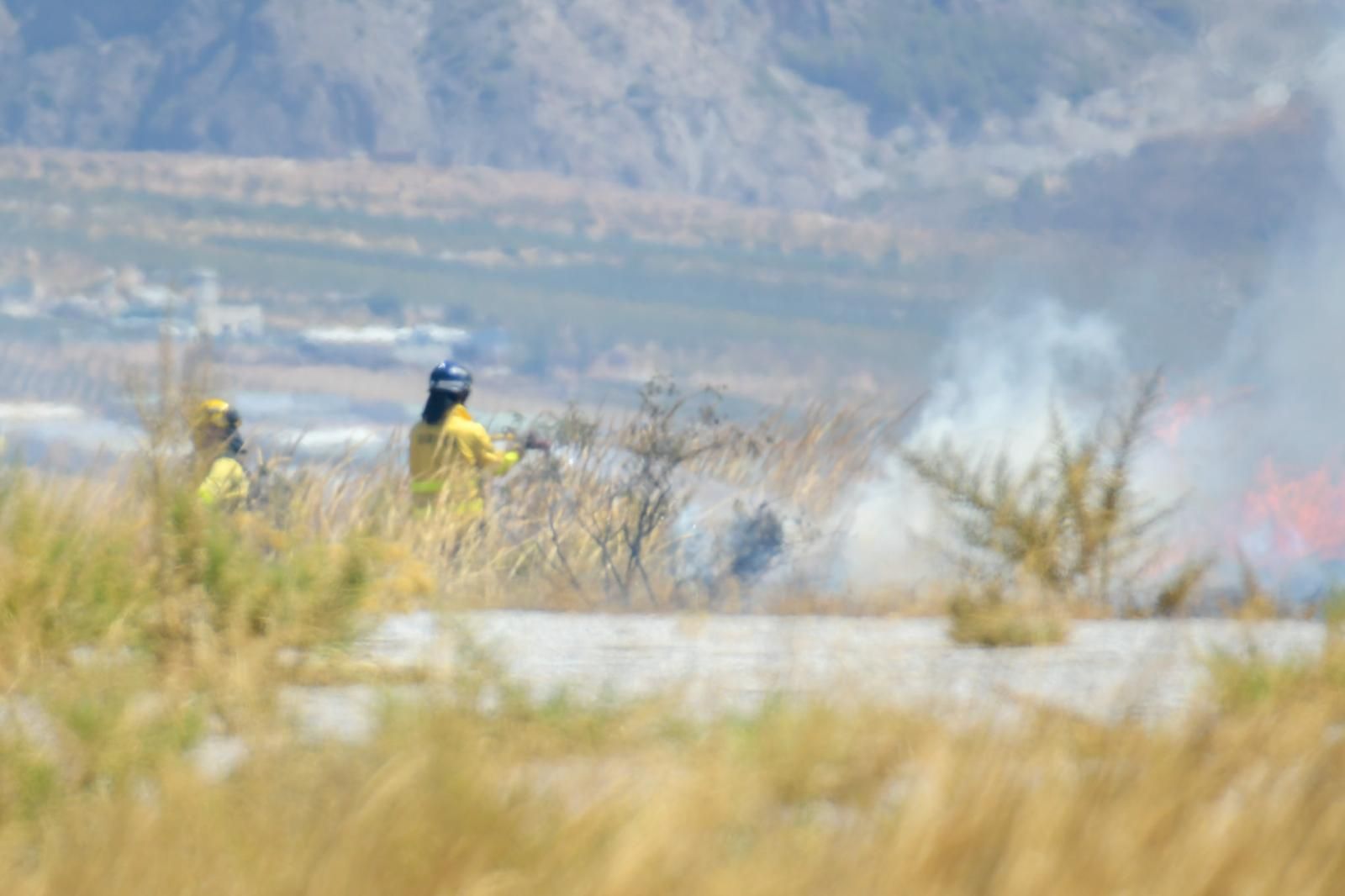 El incendio en el parque eólico de Padul, en fotos