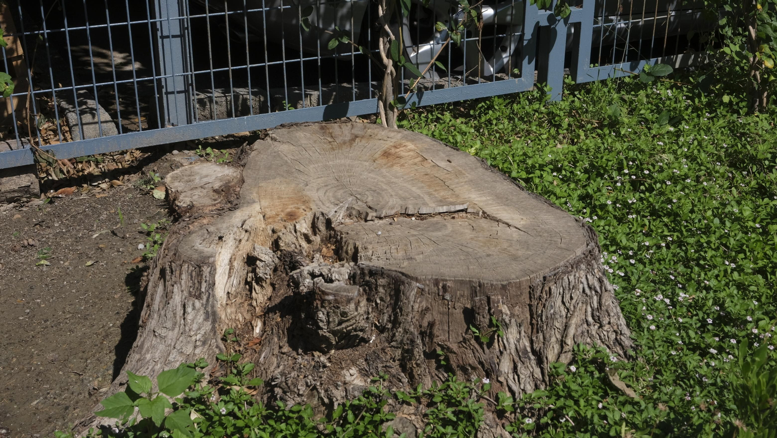 Proyecto Aulas Verdes Abiertas en el Colegio Mar Mediterráneo, de Almería