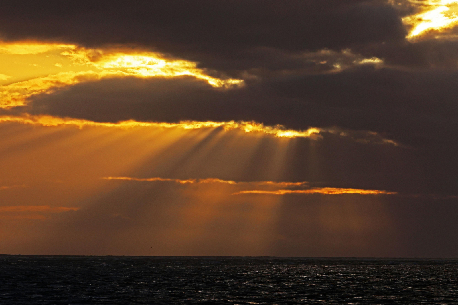 Las imágenes más destacadas del domingo 25 de febrero en Huelva
