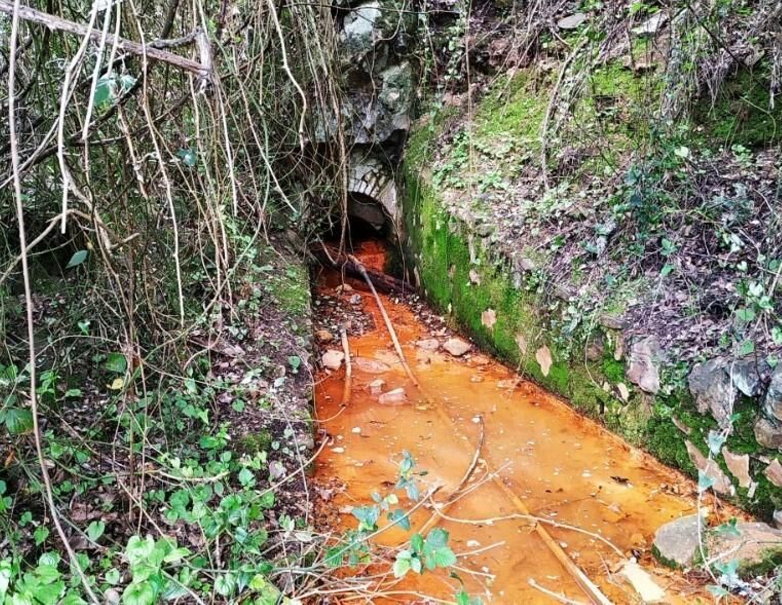 Fuente Boca del Infierno