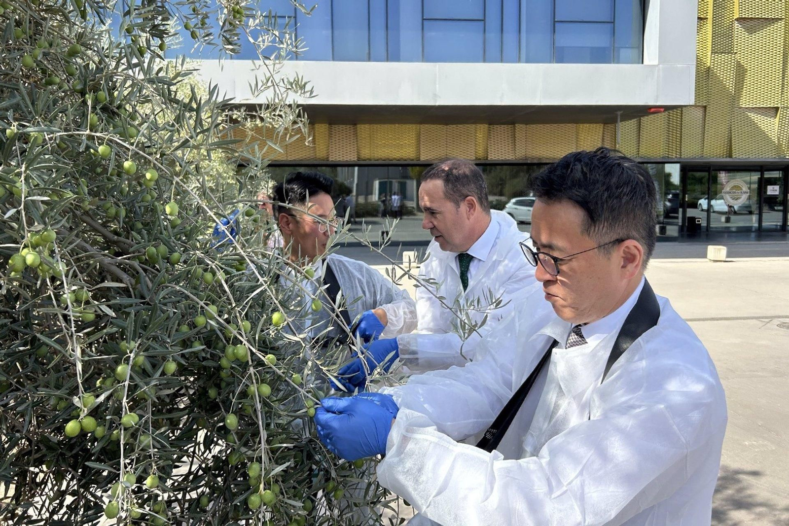 Visita del CEO de AthenaOliva, Howook Lee, a la sede de la Fundación del Olivar.