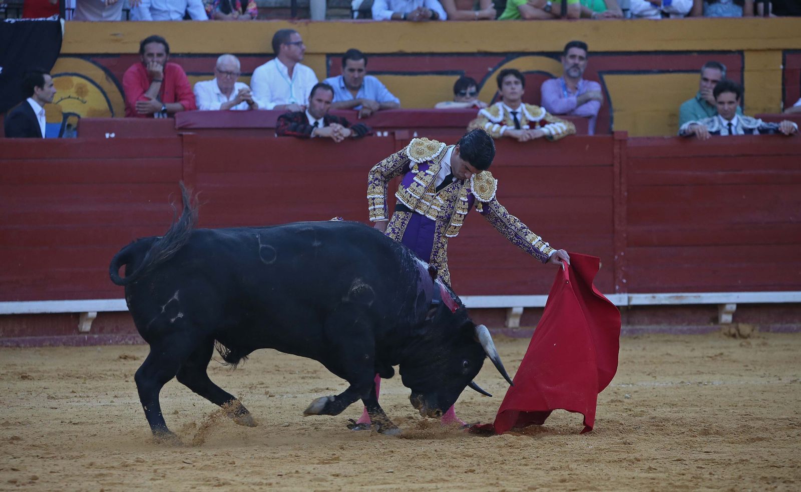 Fotos de la corrida del jueves de la Feria Taurina de Algeciras 2023:  Salvador Vega, Roca Rey y Pablo Aguado