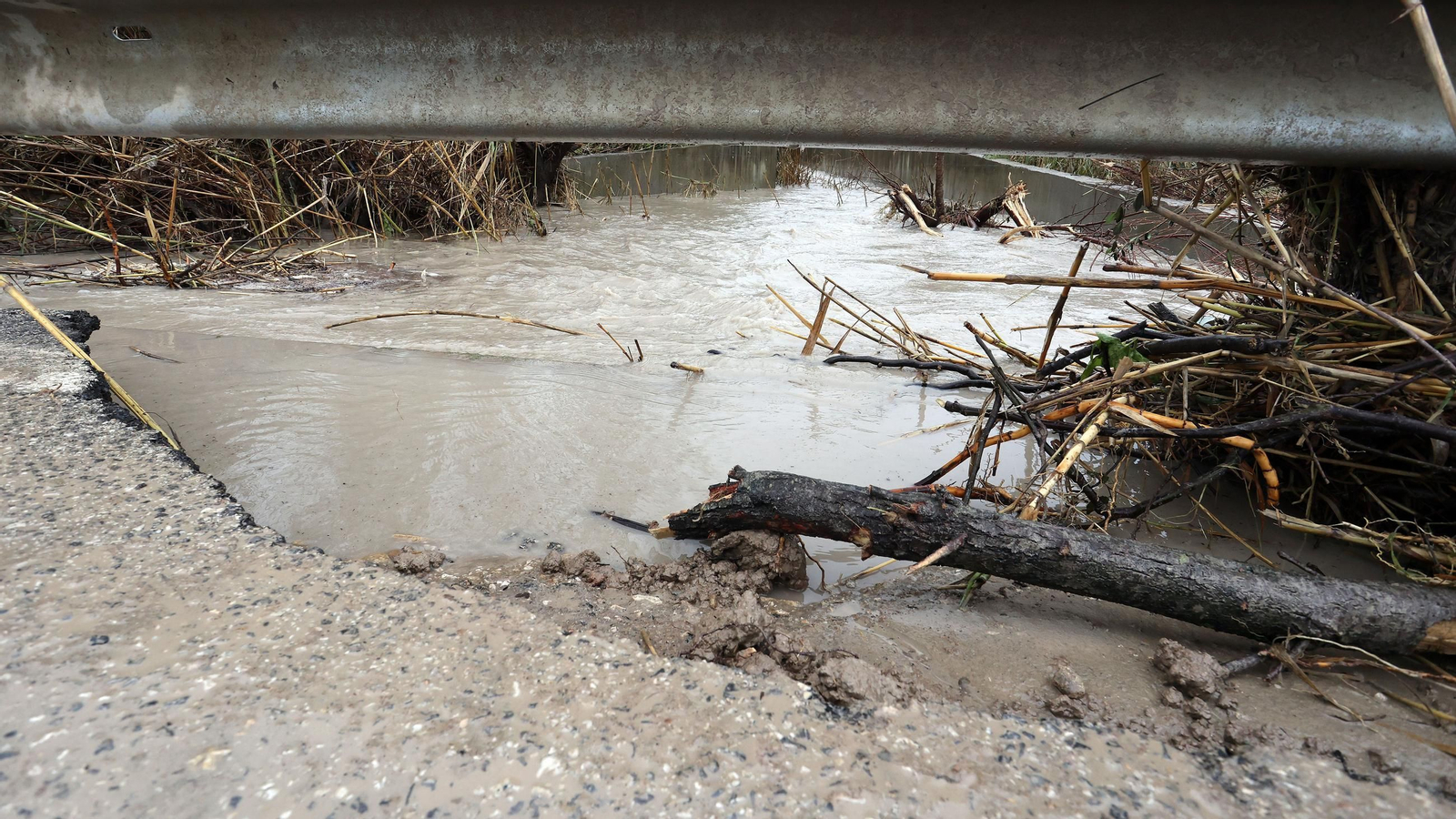 Imágenes del temporal de viento y lluvia en Jerez