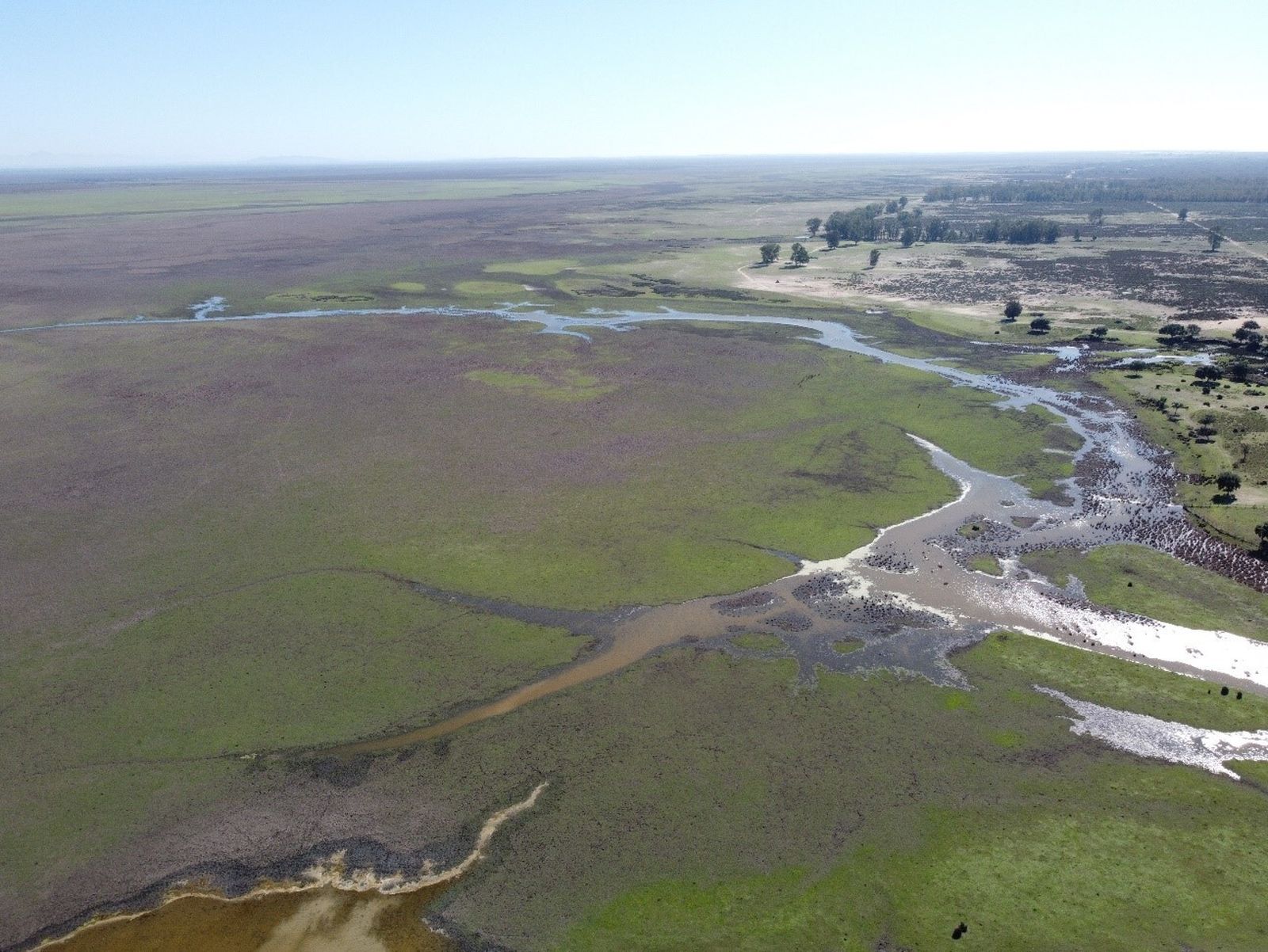 Vista aérea de las marismas de Doñana y del caño El Guaperal.
