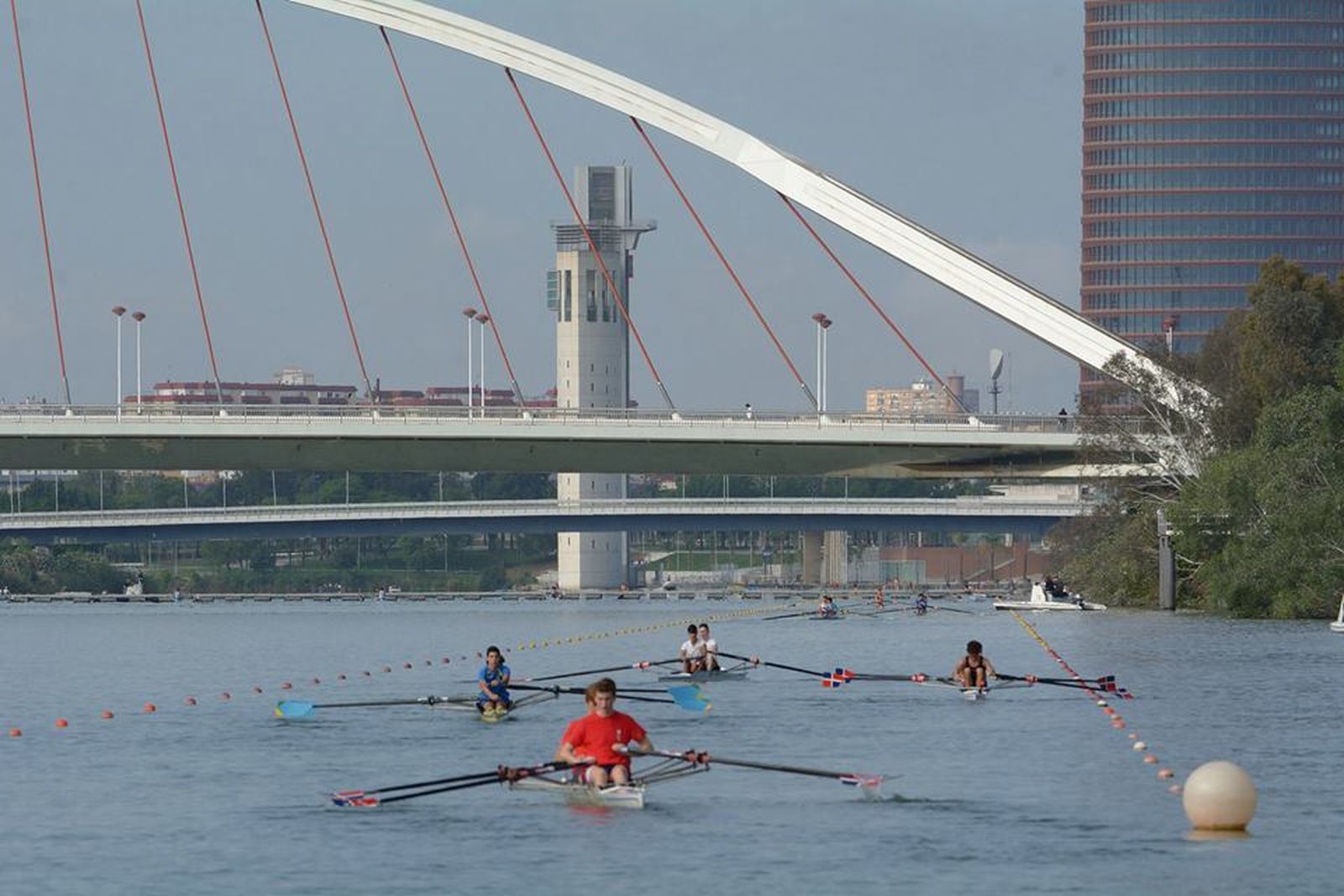 Imagen de una competición de remo en el Guadalquivir.