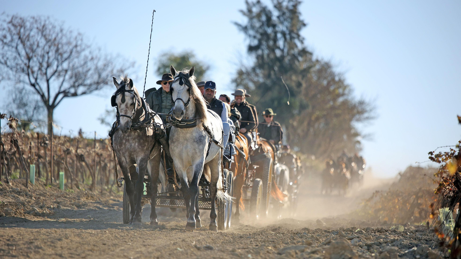 II Ruta Viñas de Jerez