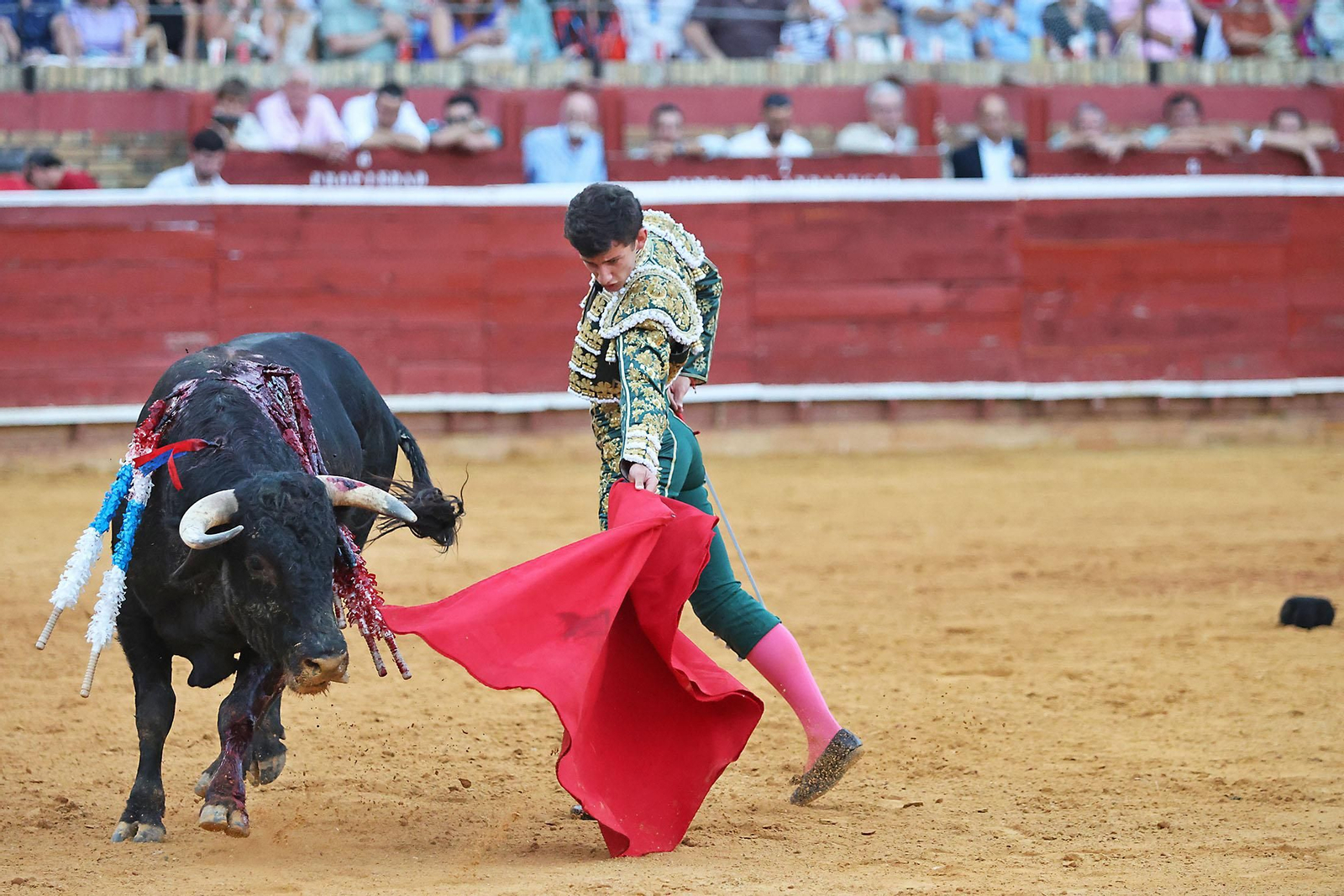 Toros La Merced 2024 Novillada con picadores(