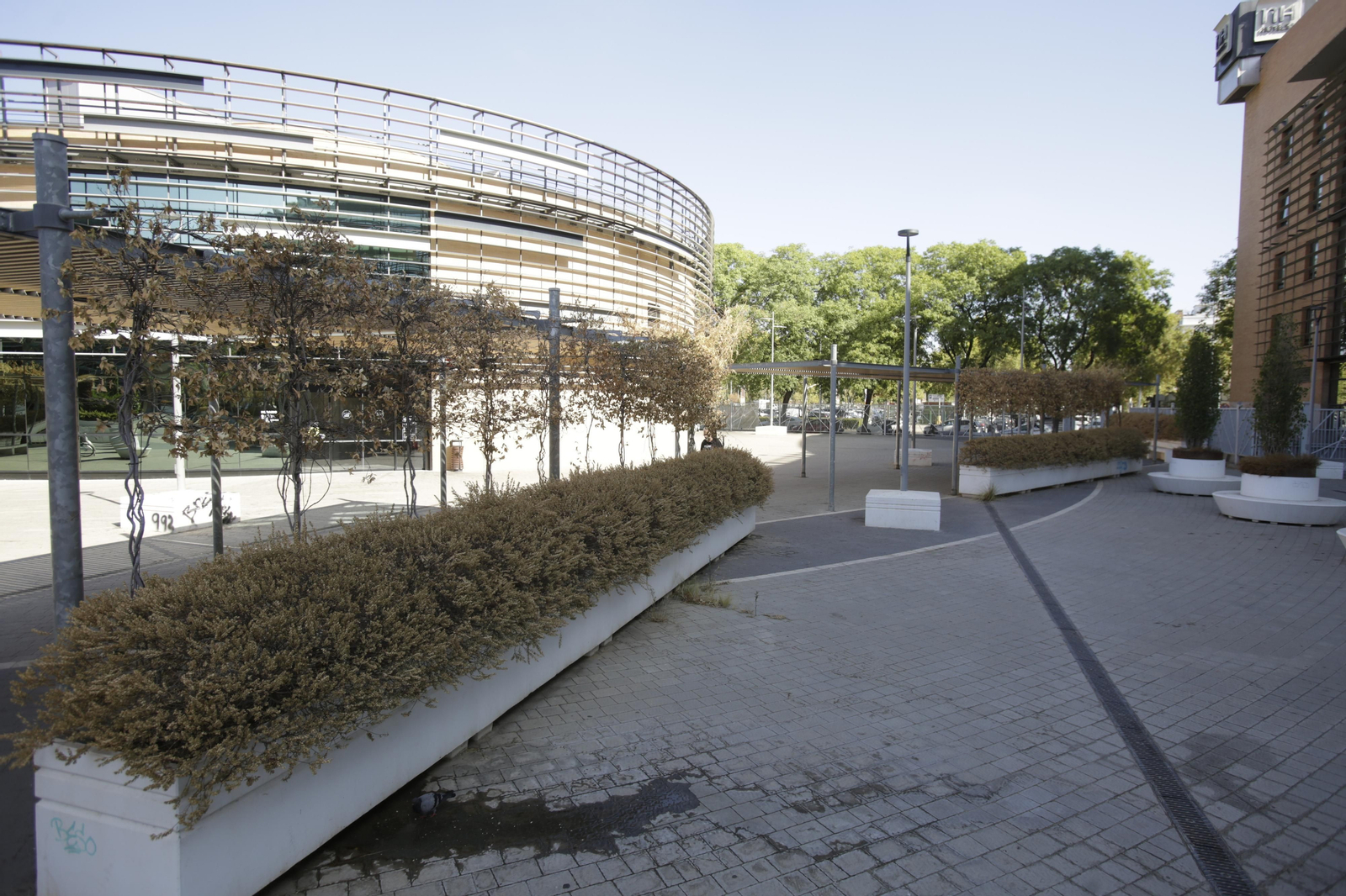 Abandono y mal estado de la plaza entre Mercadona y Plaza de Armas