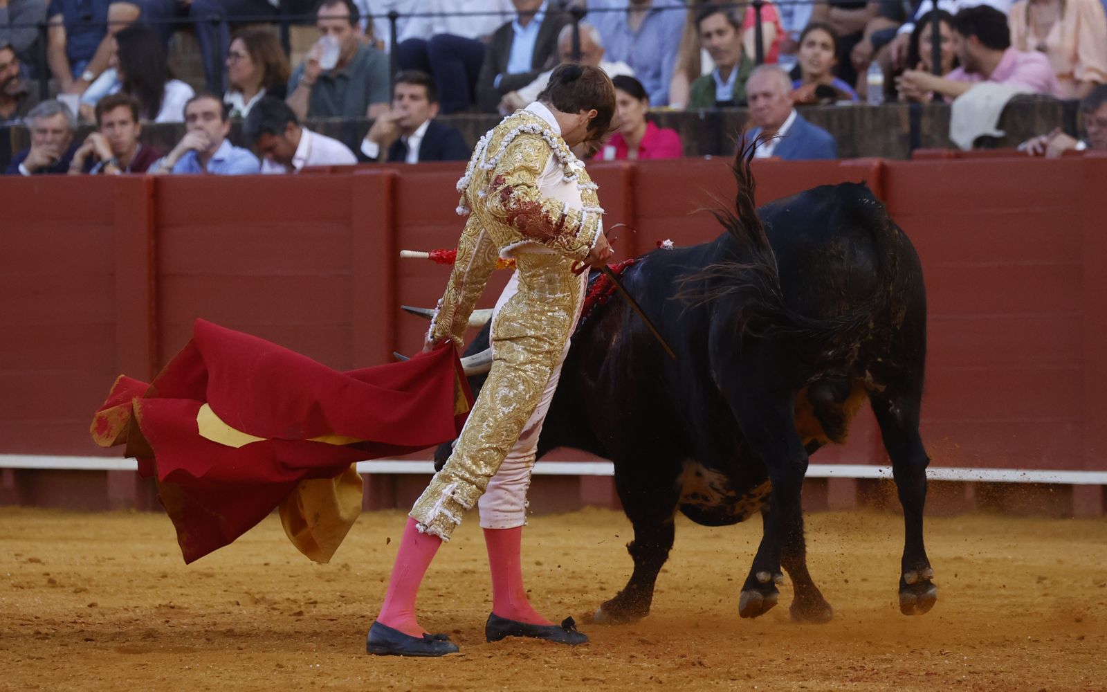 Las imágenes de la novillada en la Maestranza