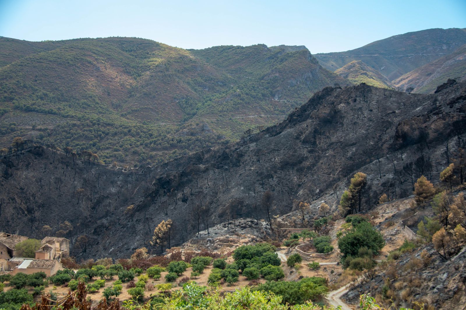 Los municipios afectados por el incendio de Los Guájares piden la declaración de zona catastrófica