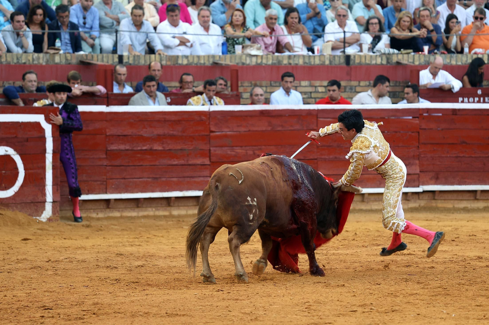 Toros La Merced 2025: Imágenes de la corrida de David de Miranda, Marco Pérez y Borja Jiménez