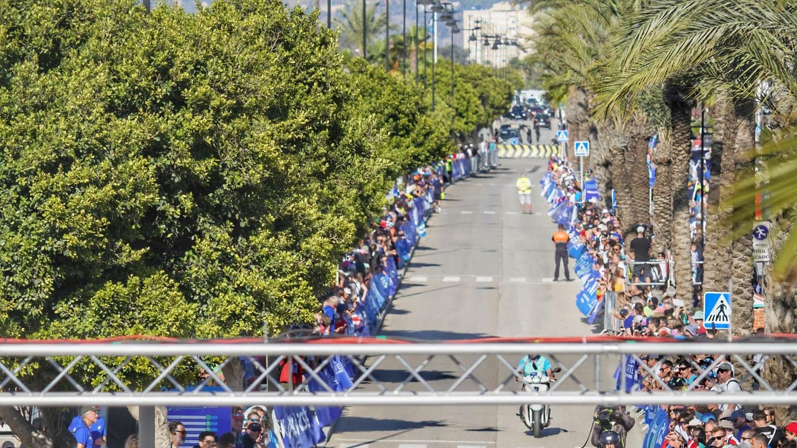 Series Mundiales de triatlón: Cassandre Beaugrand, nueva reina mundial