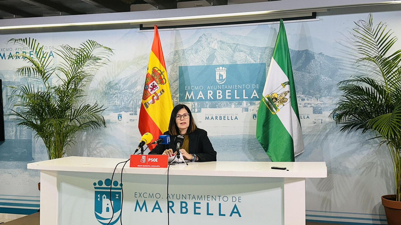 La portavoz del PSOE, Isabel Pérez. La portavoz del PSOE, Isabel Pérez.