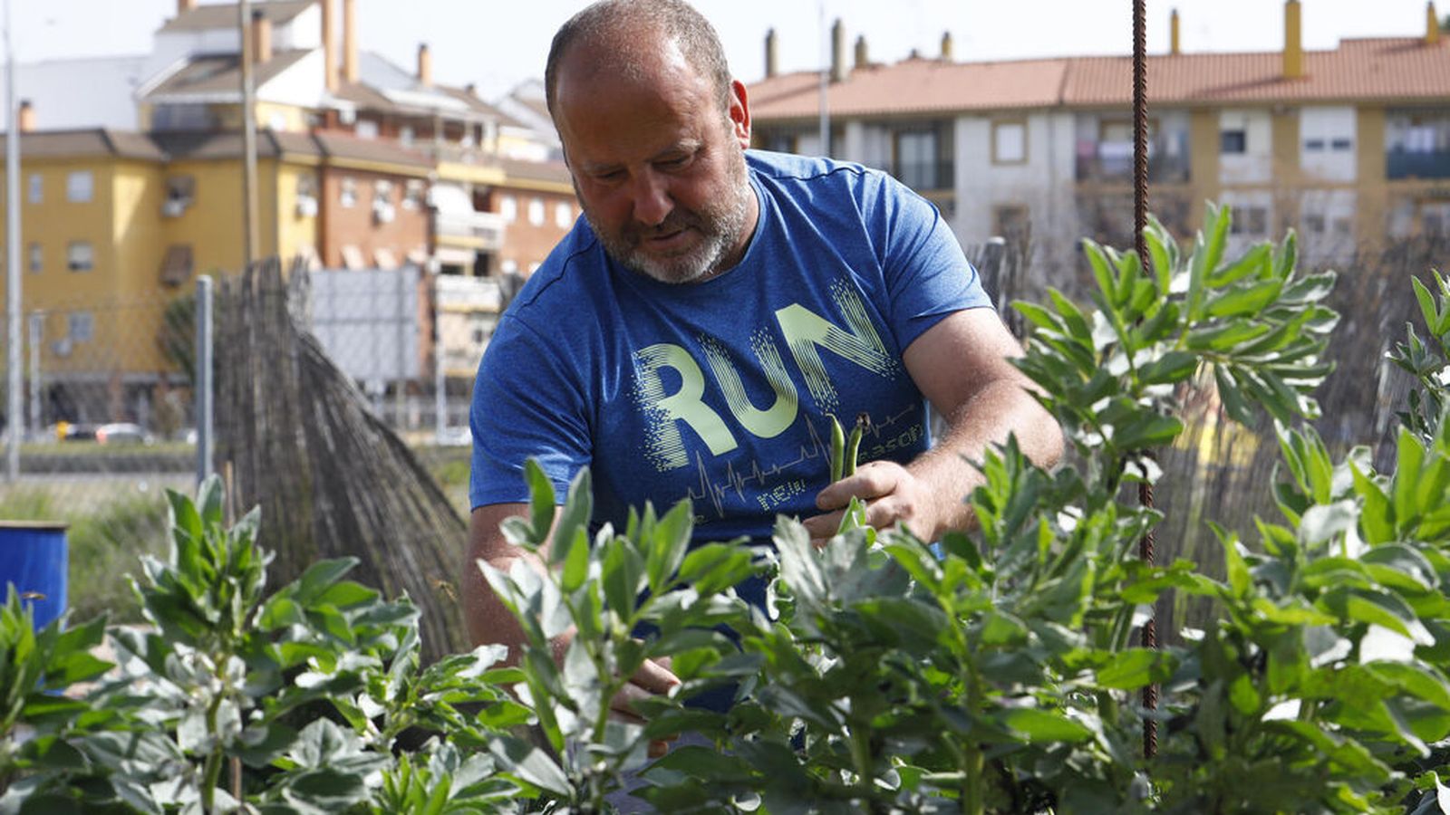 Huertos urbanos en Córdoba.