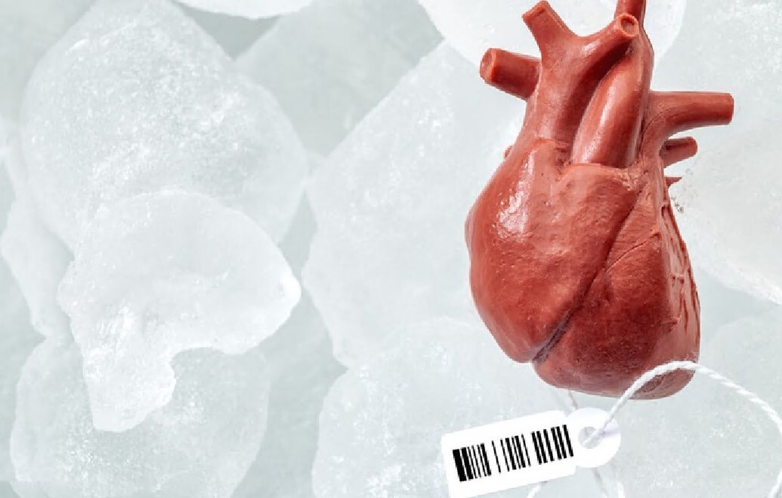 La nueva tecnología supondrá un importante avance en las operaciones y transplantes.