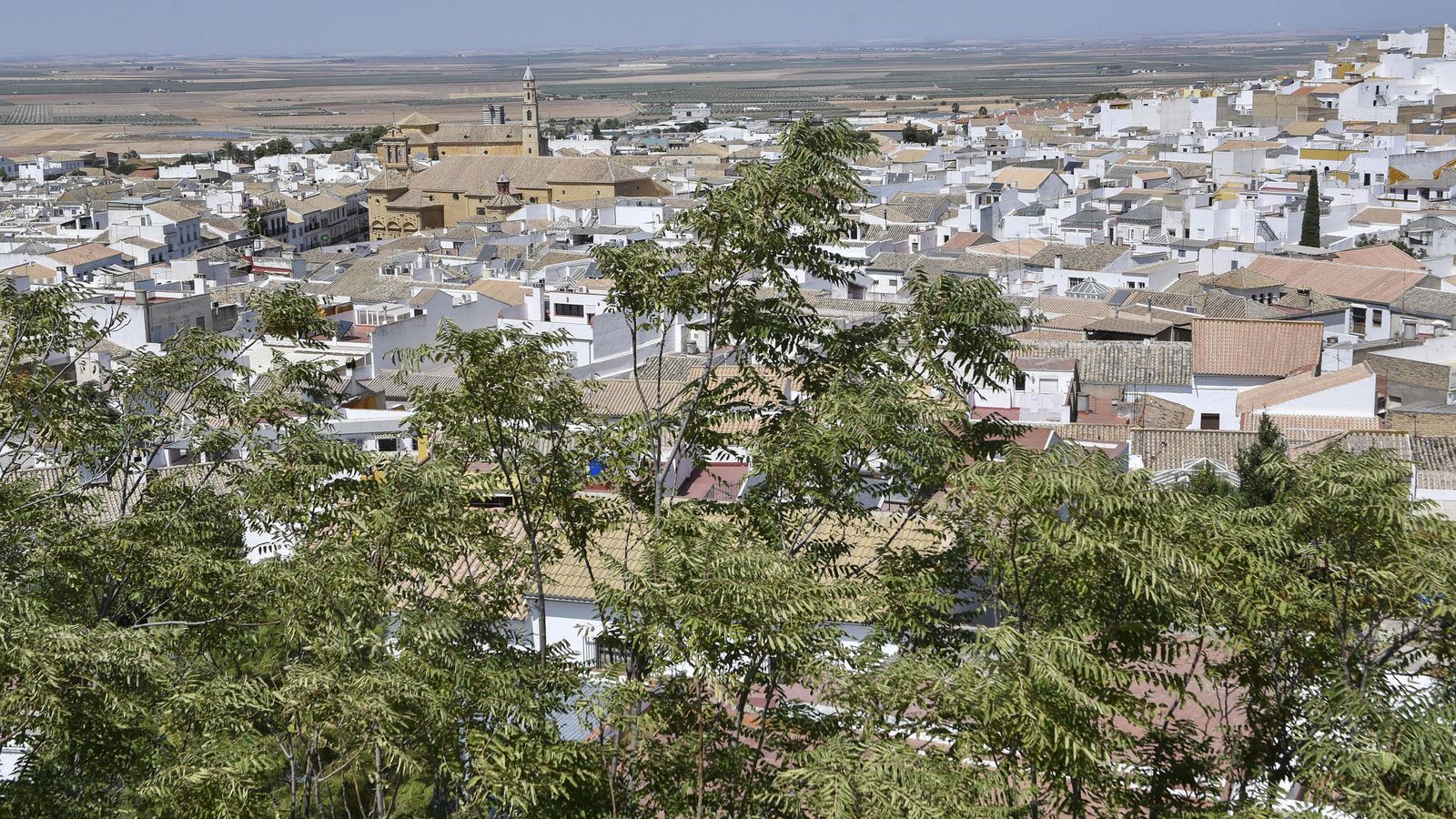 Panorámica de Osuna.