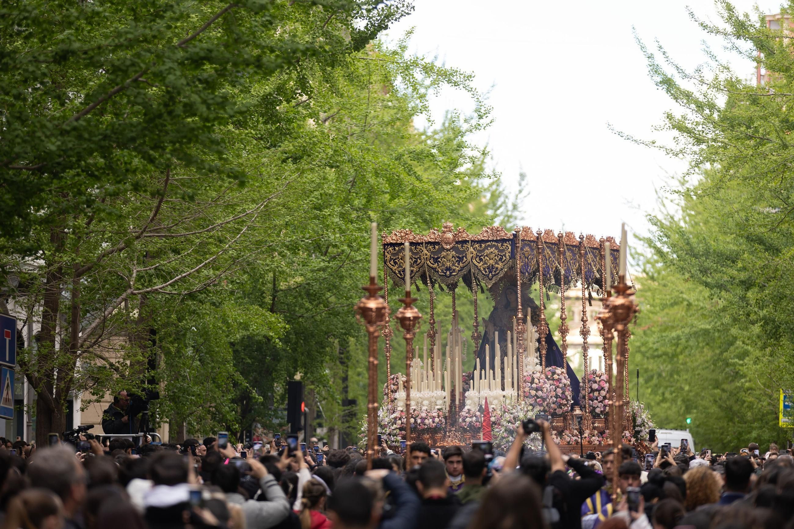 Así vivió Granada la salida de la Hermandad de los Gitanos