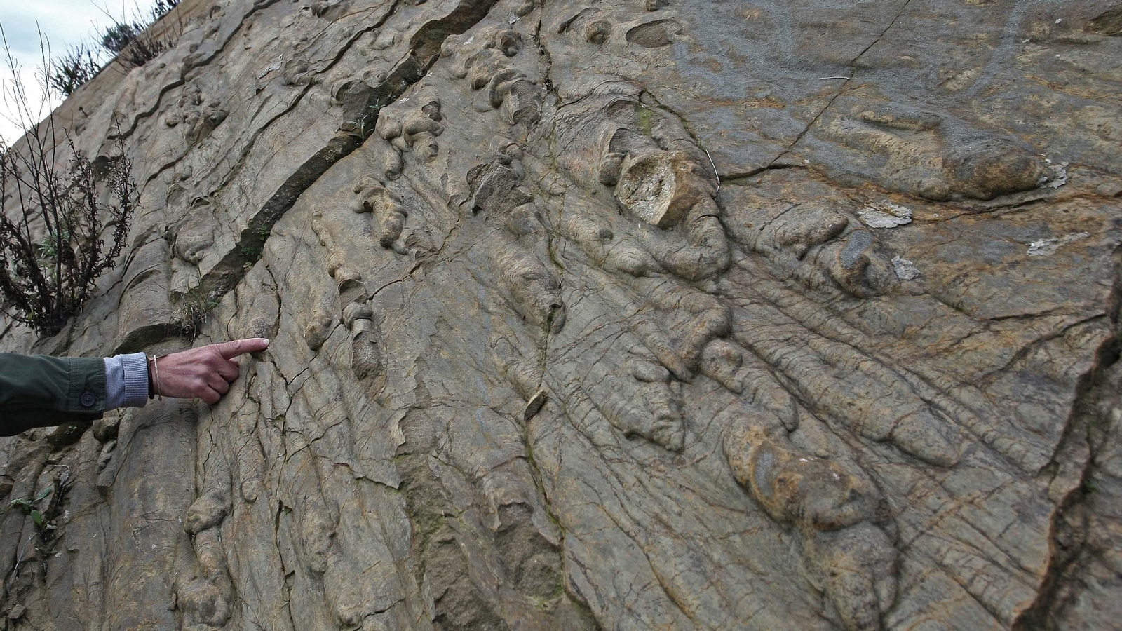 Parque natural del Estrecho