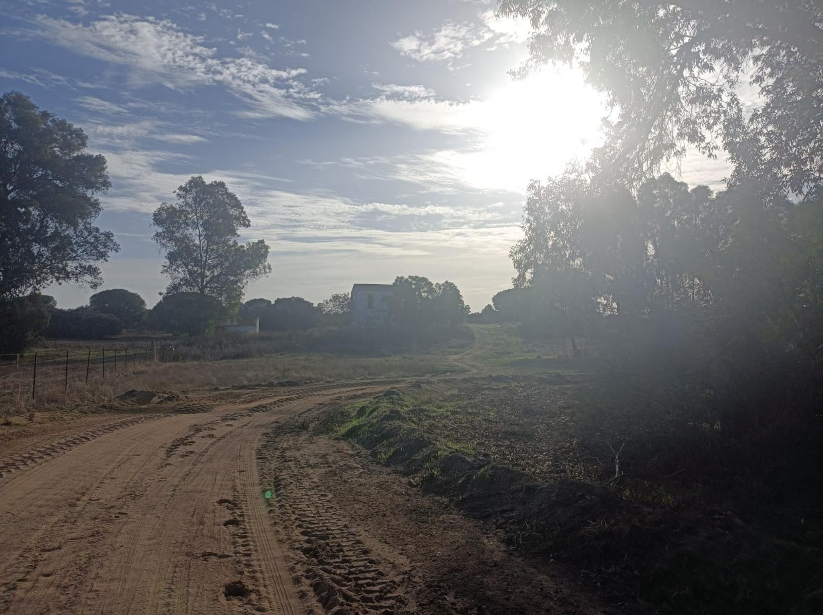 Fotos del Camino de San Diego en Almensilla