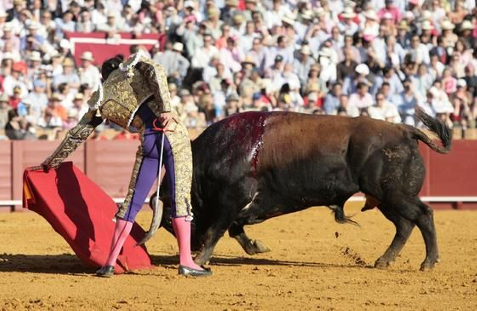 Manzanares con el segundo de la tarde en la treceava del abono de La Maestranza.

Foto: Juan Carlos Muñoz