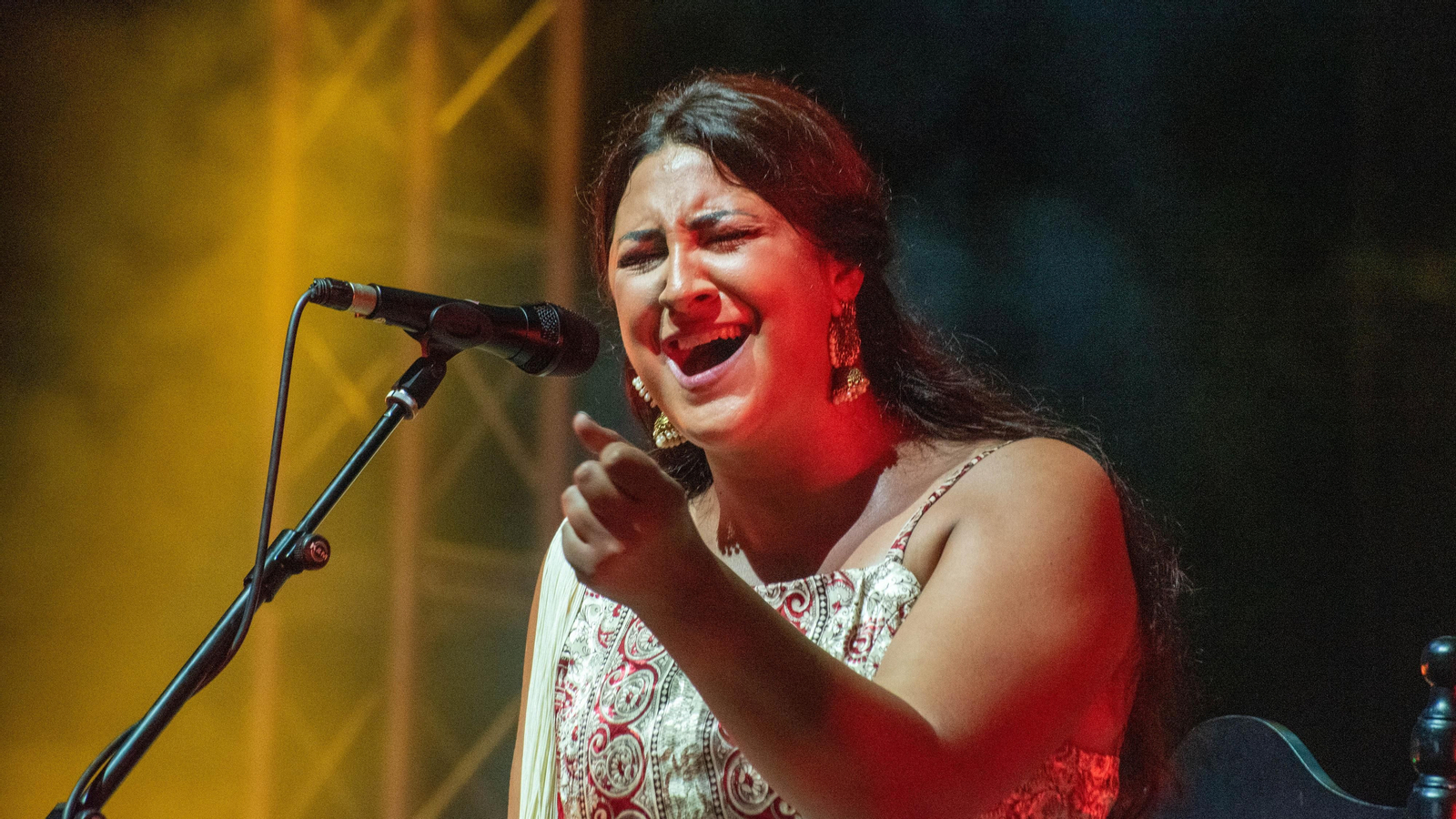 Fotos del recital flamenco en el Encuentro Internacional de Guitarra Paco de Lucía