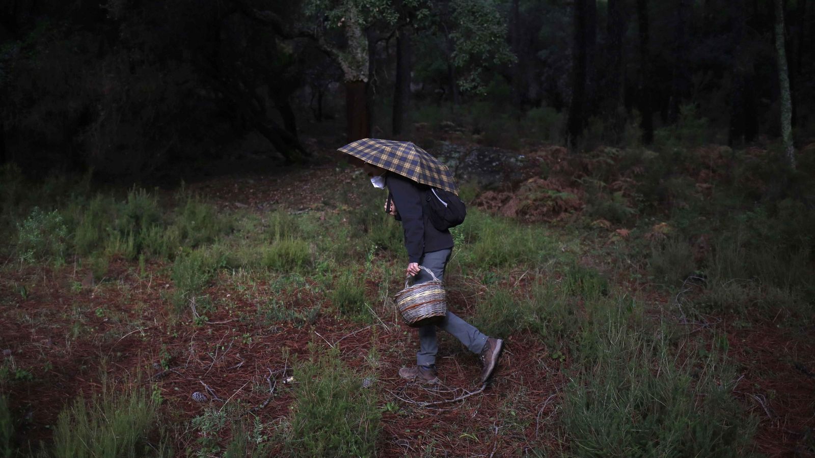 Los canastos son un elemento esencial para las buenas prácticas